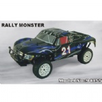 1/10th Scale Nitro Rally Monster RC Truck-Two Speed