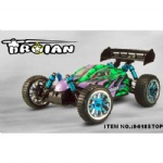 1/16th Scale 4WD Electric Powered Off Road Buggy-Troian